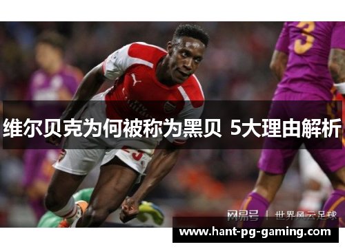 维尔贝克为何被称为黑贝 5大理由解析